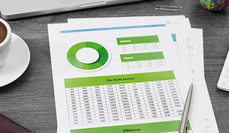 Tenant Financial Profile by LeaseRunner