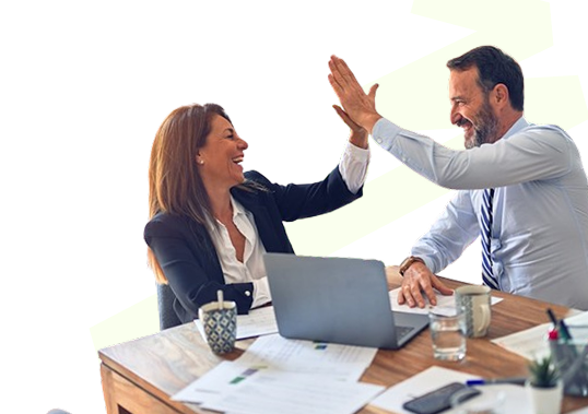 Sample applicant bank and income profile