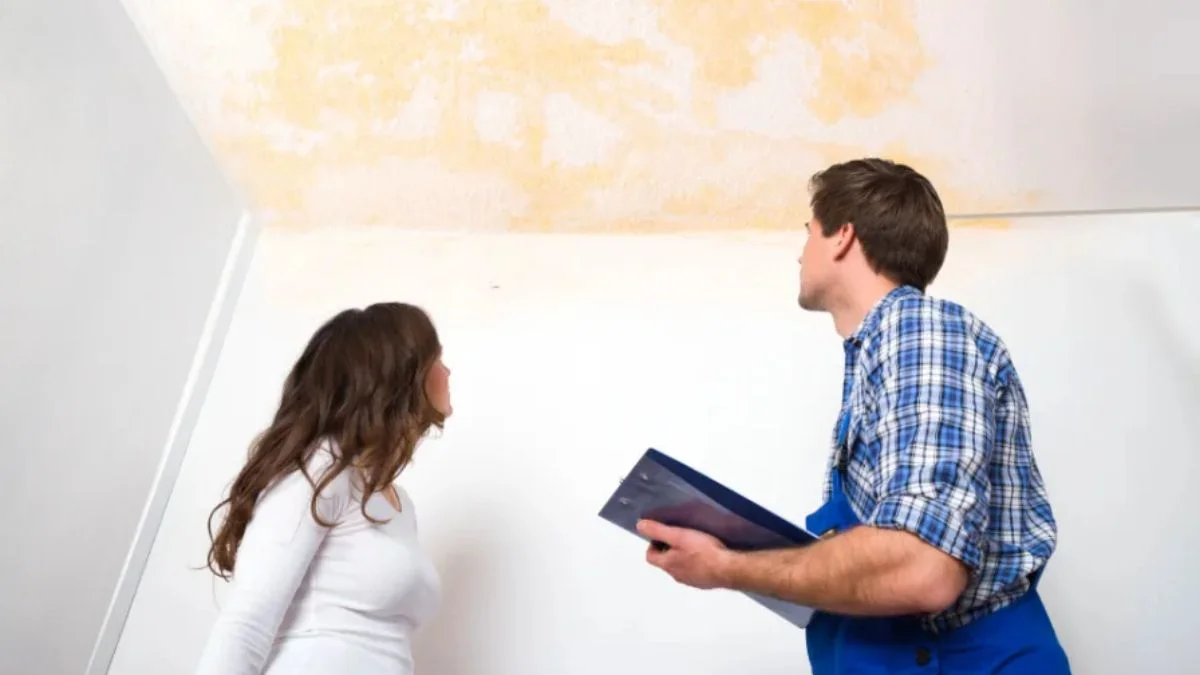 Overview of tenant-caused damage in rental units beyond normal use
