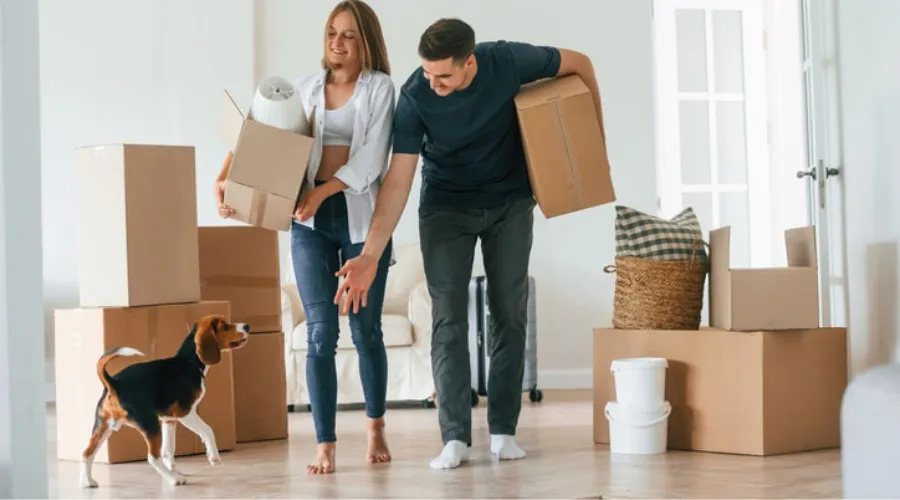 Keeping pets indoors without permission violates Maine eviction law