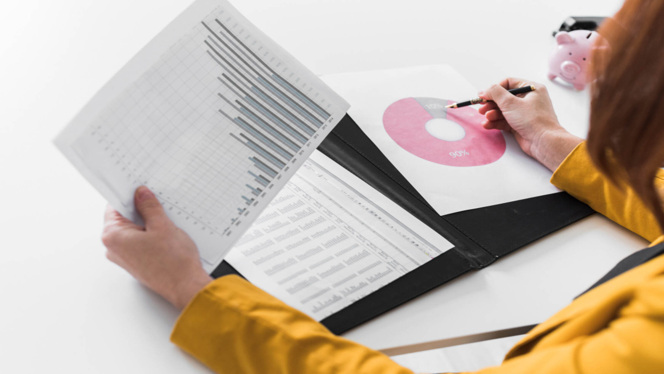 Tenant screening report overview