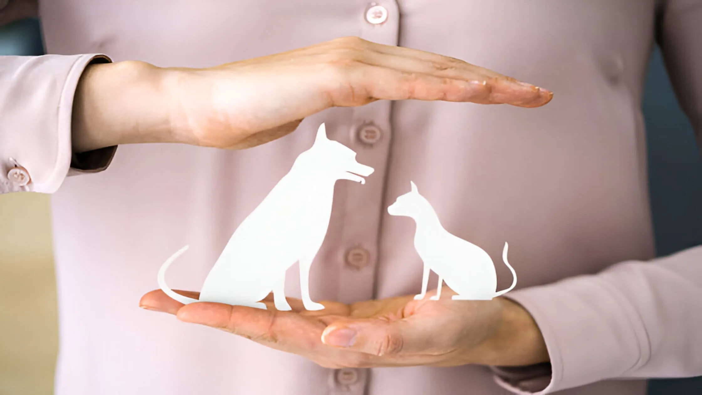 lease-agreement-for-pets-addendum