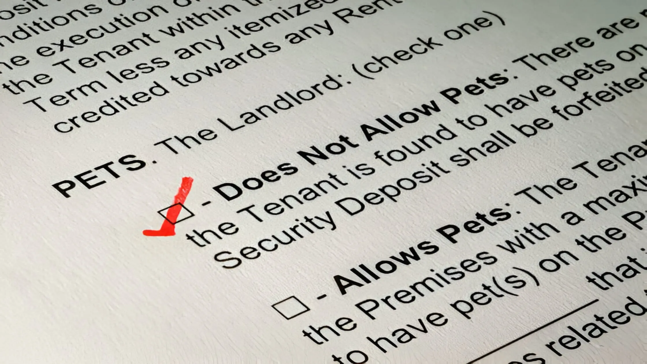 maryland-portable-tenant-screening-report-laws