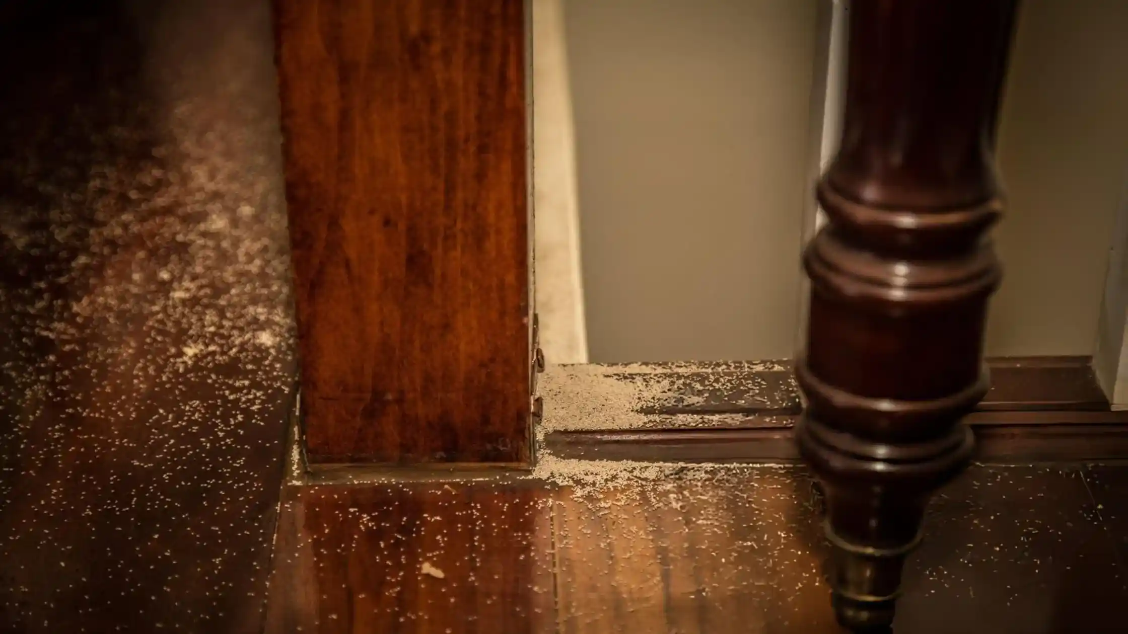 Landlords usually pay for termites due to structural damage