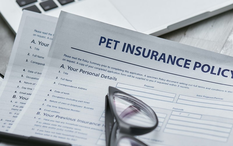 Renters with Pets to Stay Protected