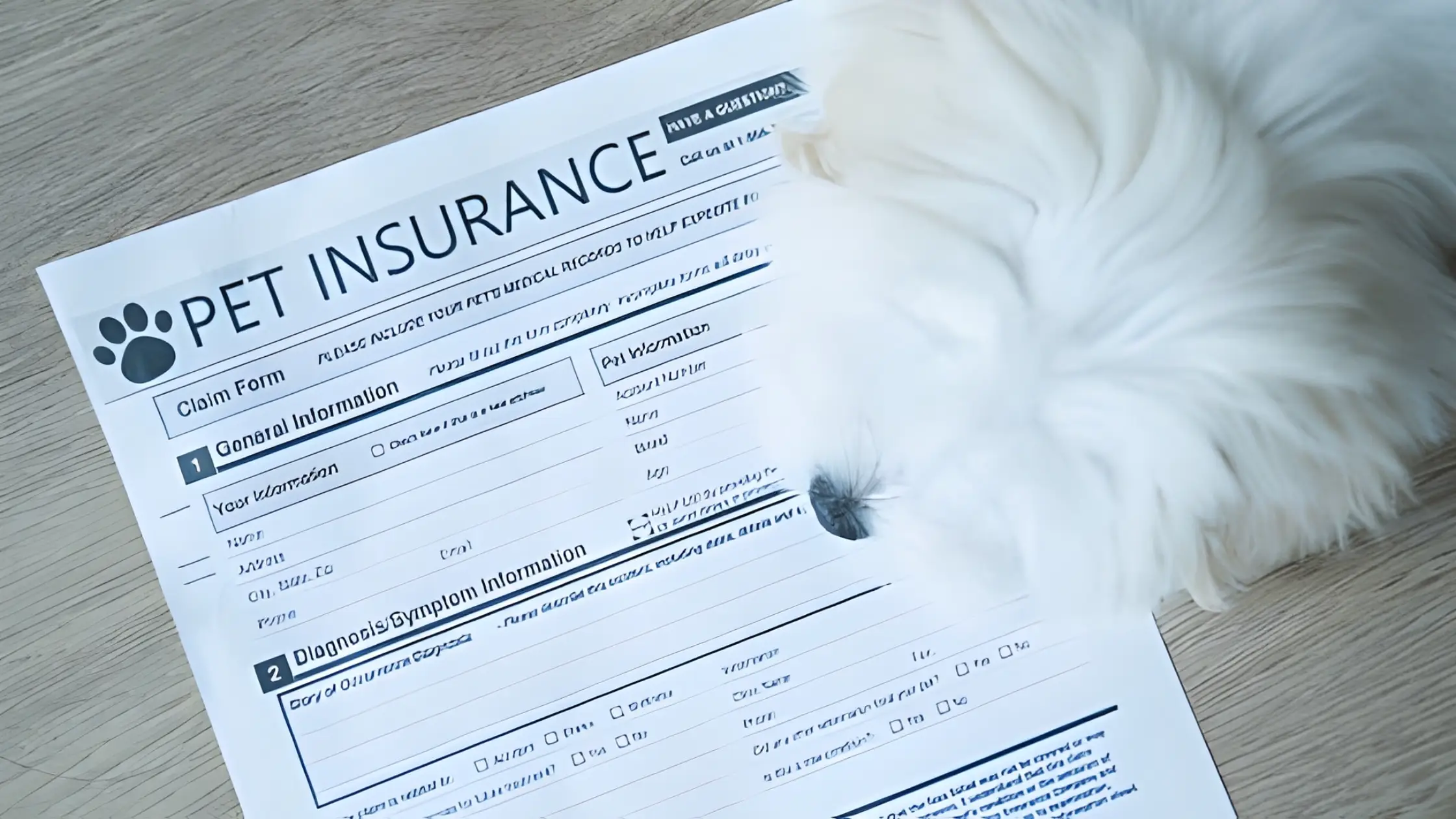 documents labeled 'Fair Housing Act' next to a valid ESA letter on a clipboard