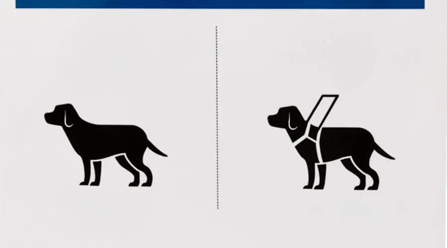 Service and emotional support animals under California law