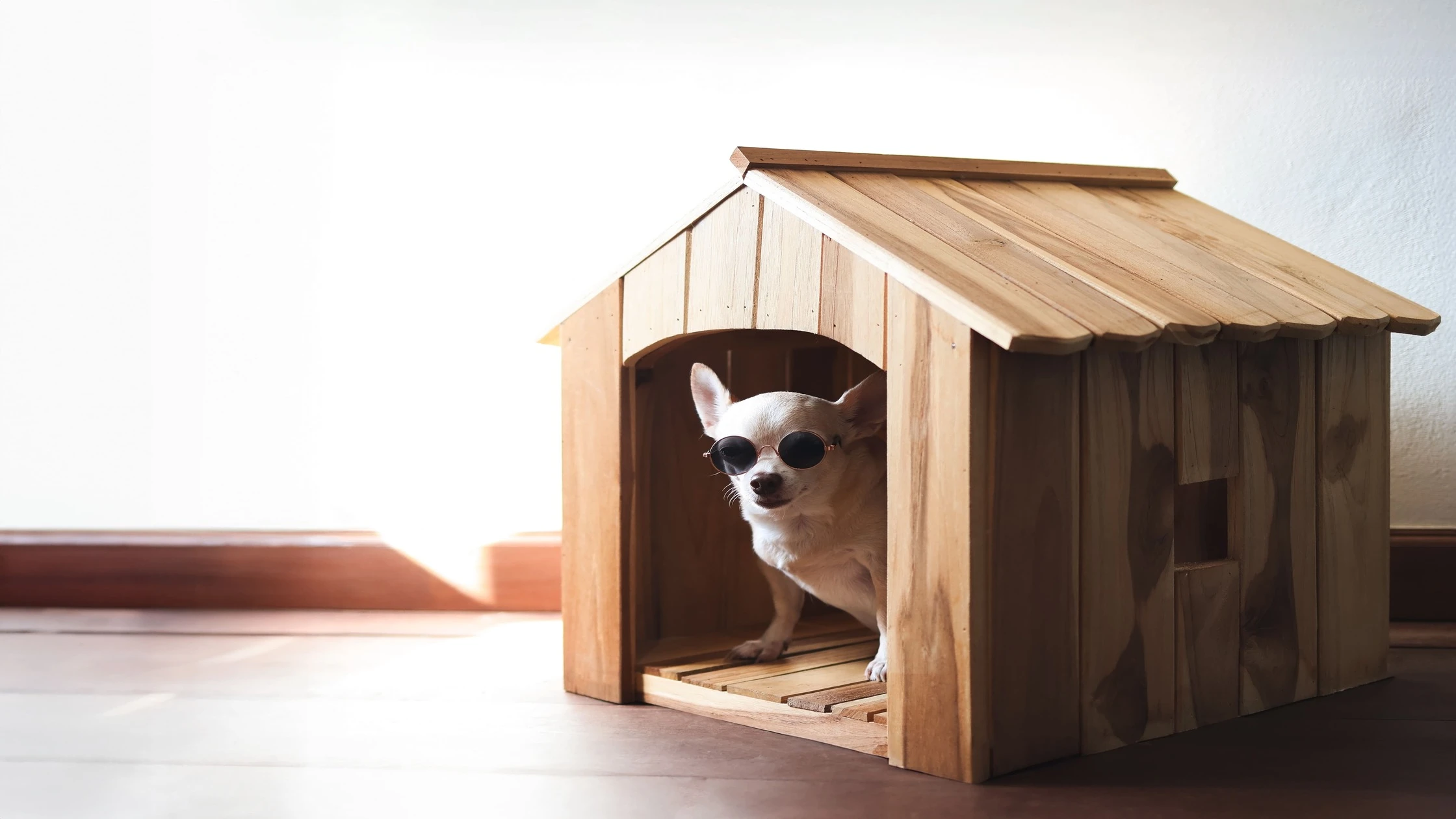 Pet deposit not for general property damage