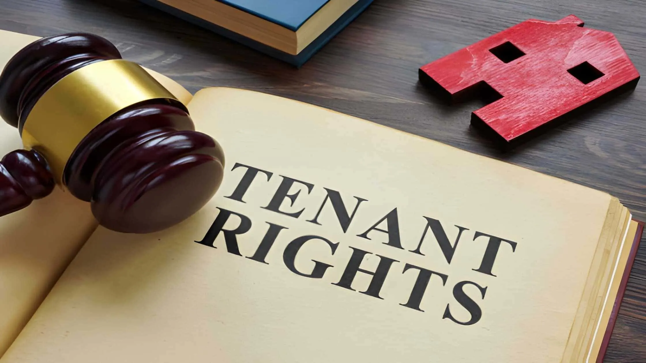 tenant-screening-rights-texas-guide
