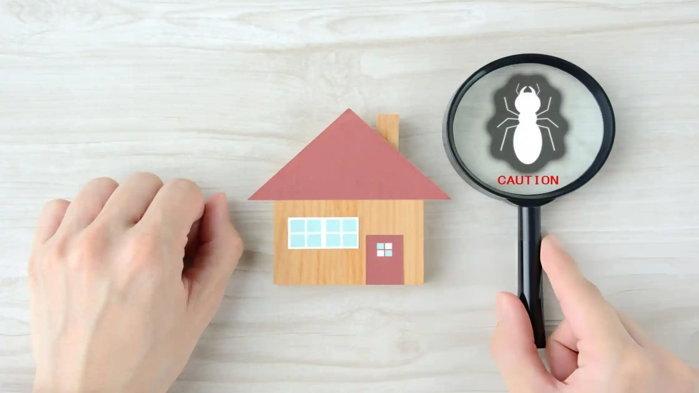 Landlords must provide habitable, pest-free rental properties