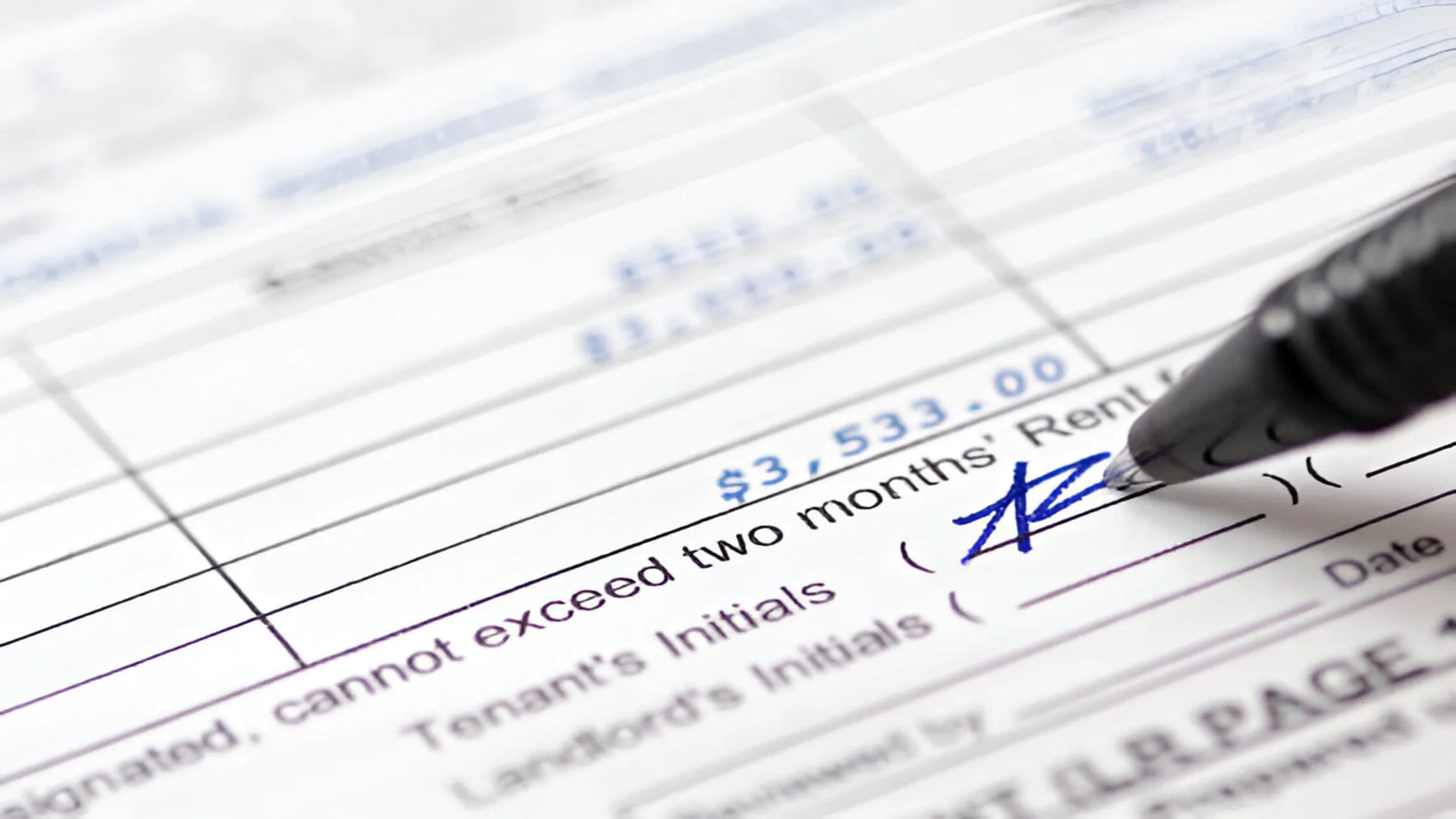how florida portable tenant screening report works