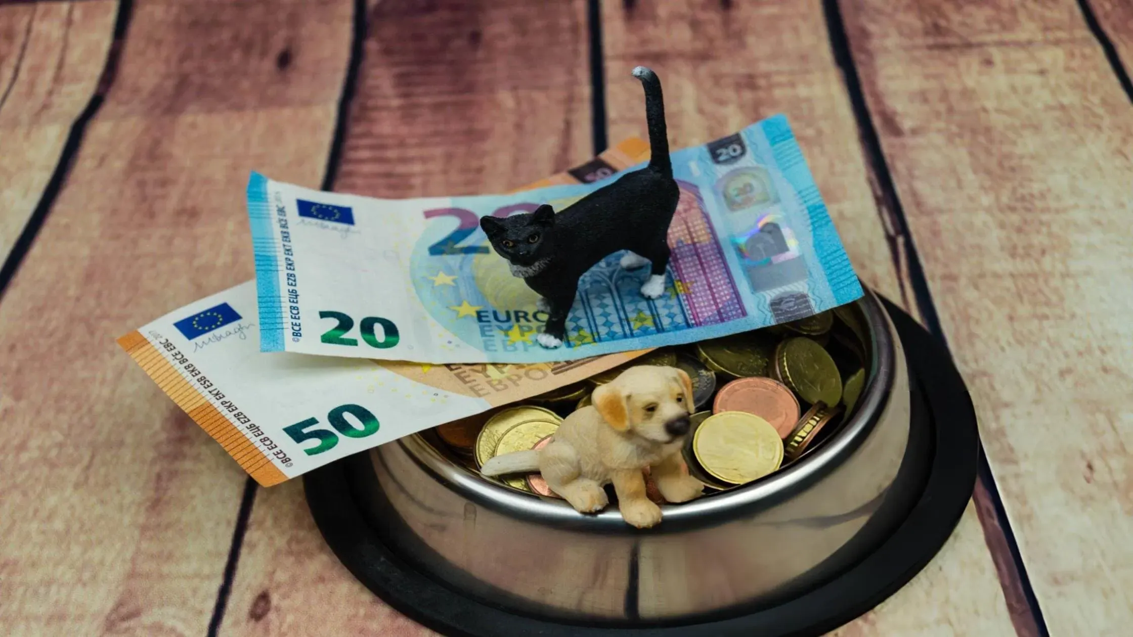 pet-fees-deposits-legal-limits-Colorado