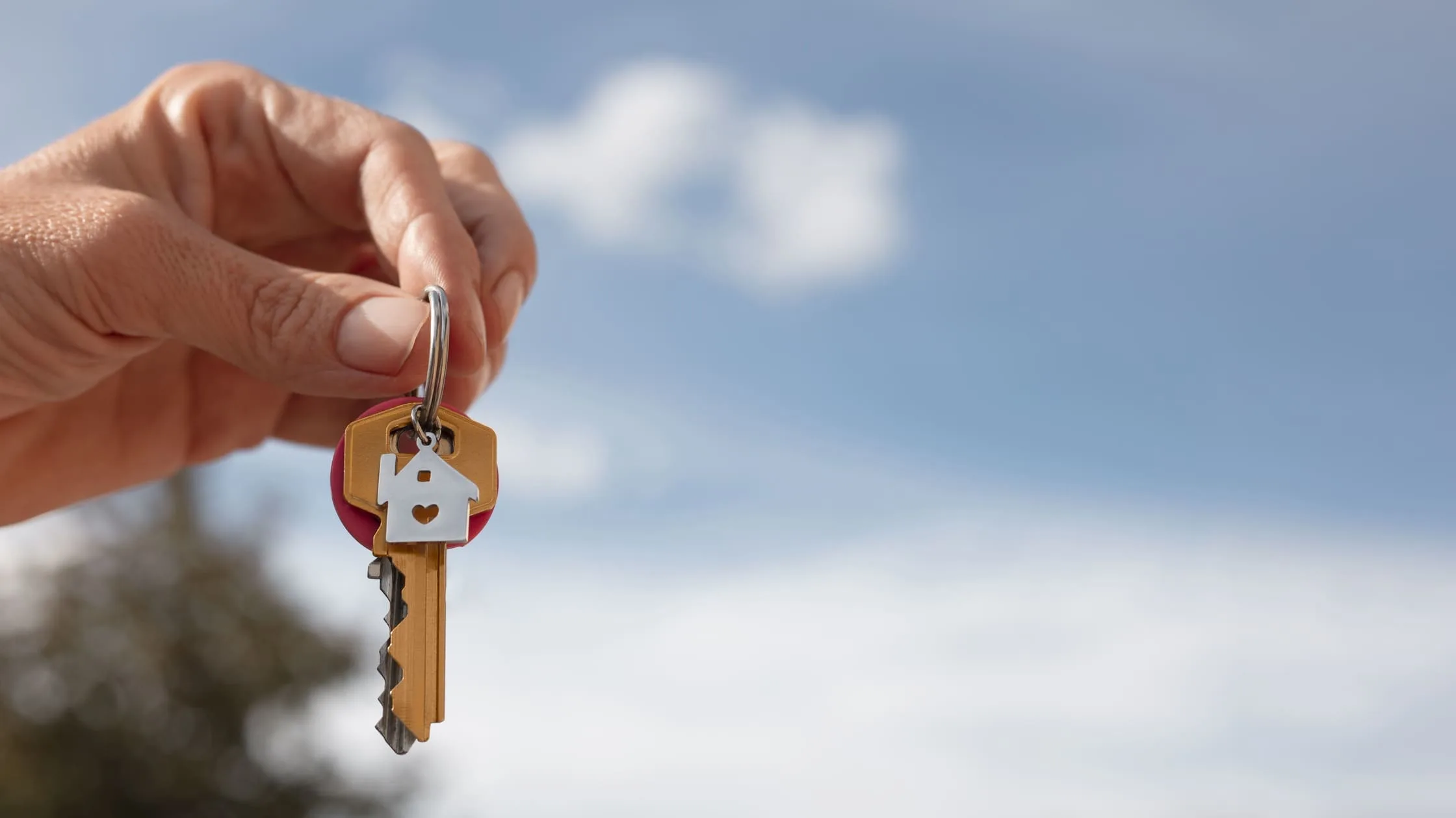 lessee-and-lessor-meaning