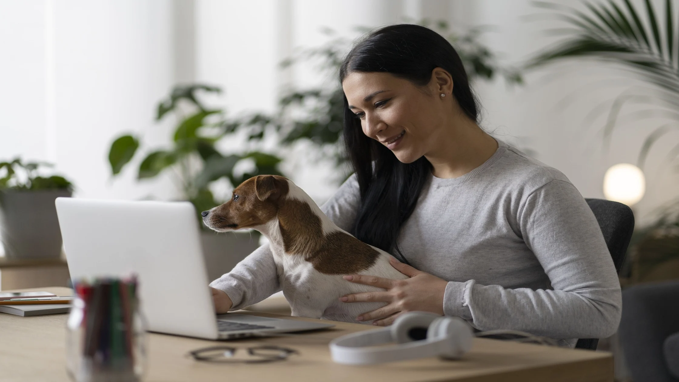 What Is Pet Screening? Benefits, Process, and How to Set Up