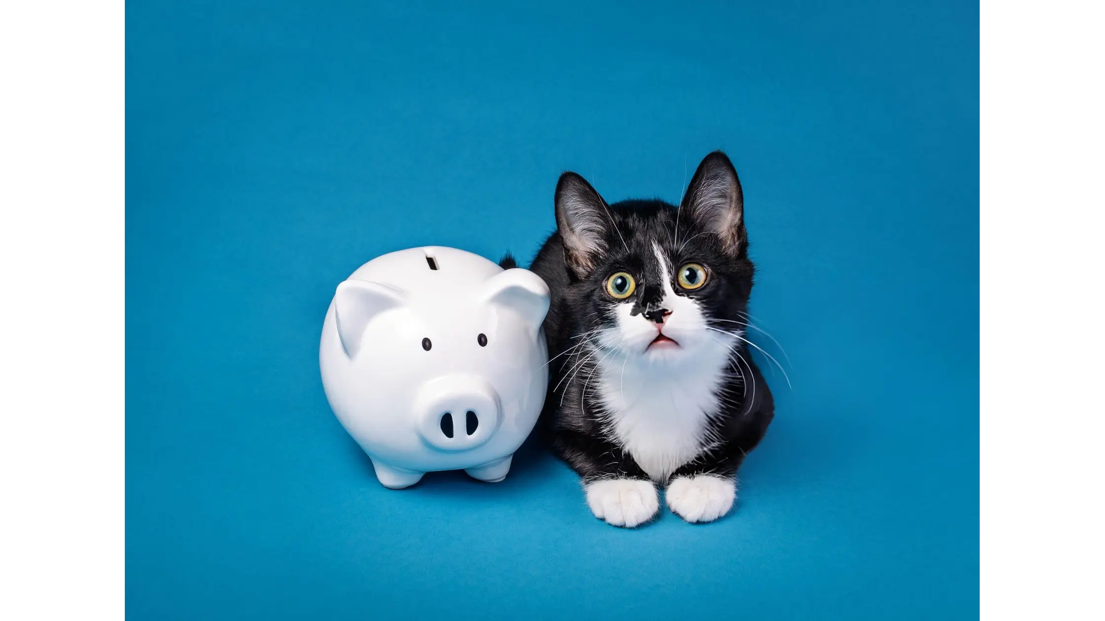 pet-fees-deposits-legal-limits-Oregon