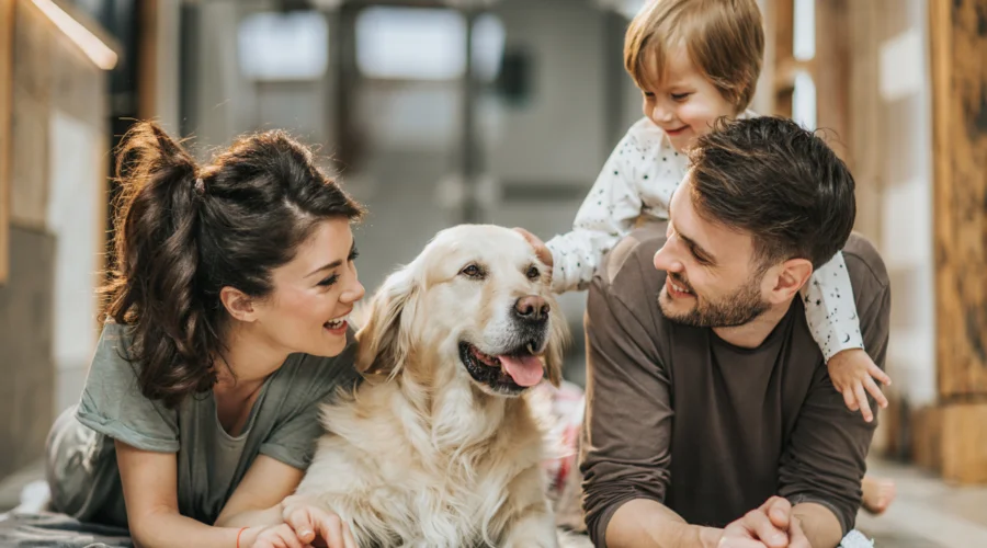 Illinois guidelines for assistance animals in rentals