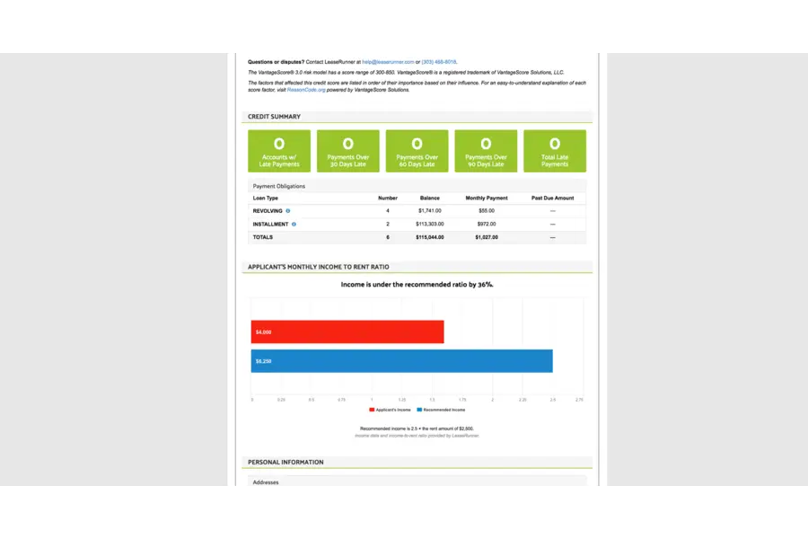 How to read credit report summary and income ratio.