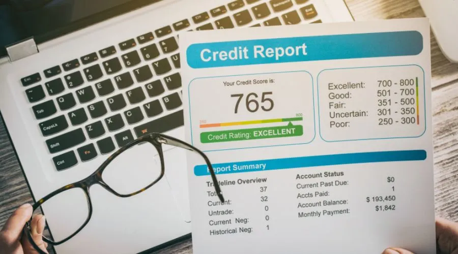 Credit and rental history check