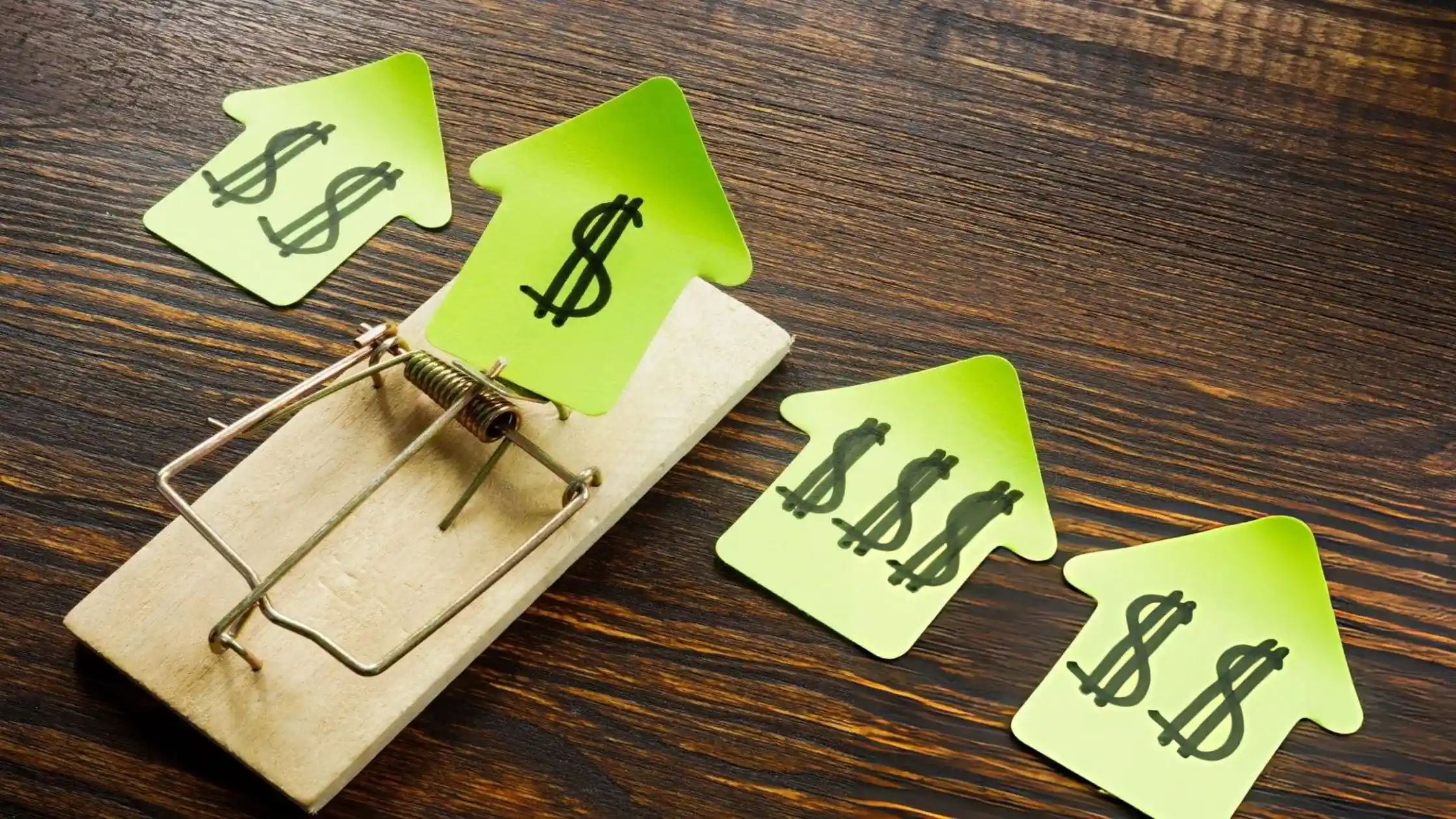 Tenants may be responsible due to poor hygiene or neglect.