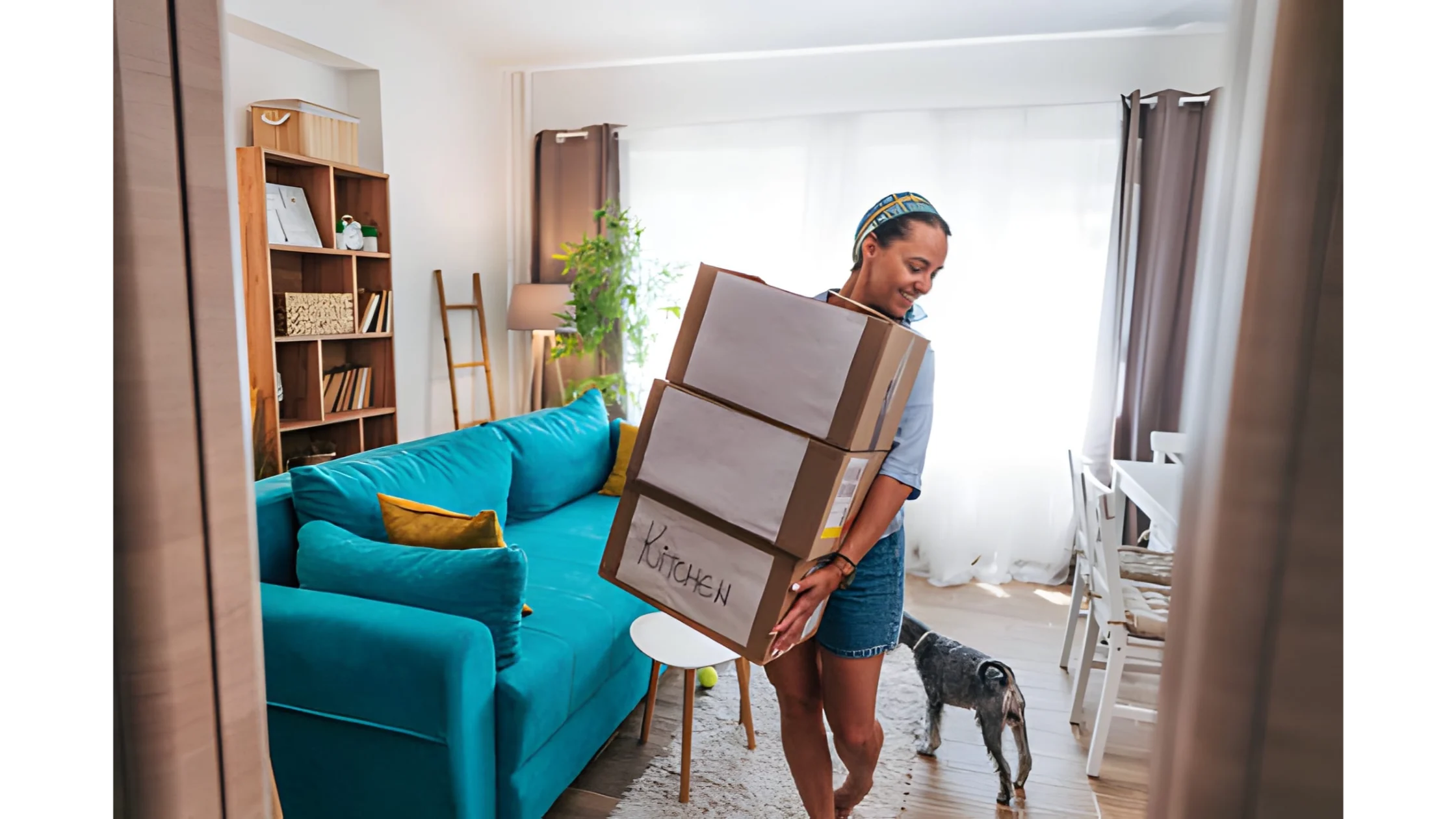 licensed mental health professional (LMHP) credentials on an ESA letter