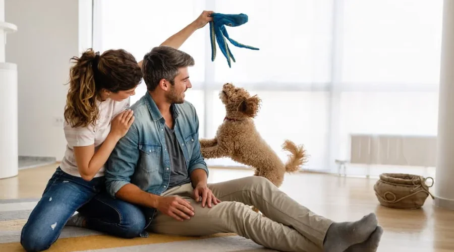 guide explaining Florida pet deposits, fees, and legal limits