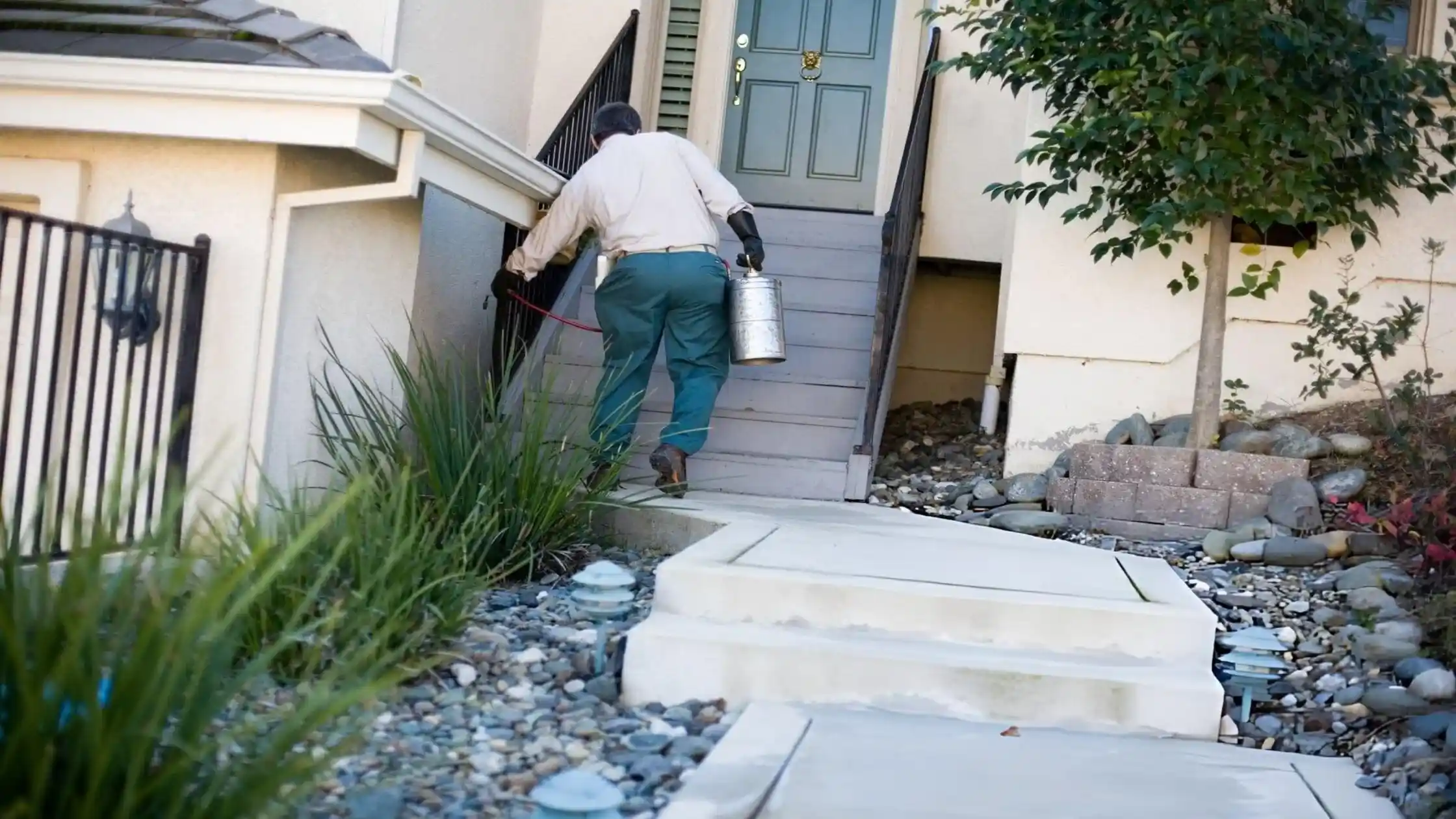 Tenants must report any pest infestation immediately in writing.