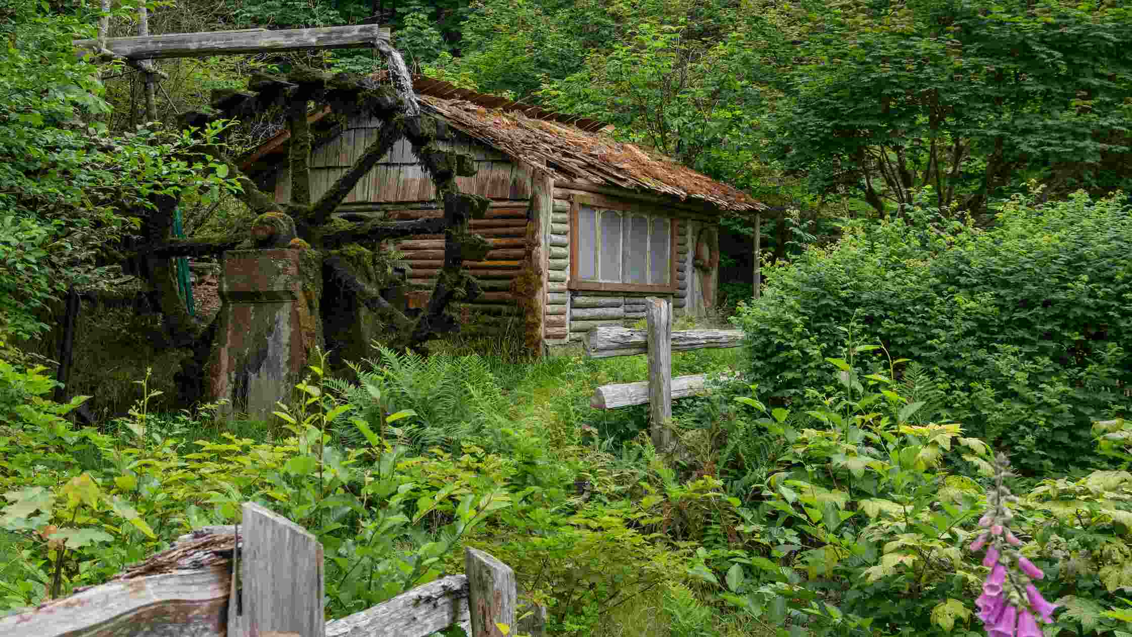 Landlords must provide a habitable living environment, including safe structural conditions.