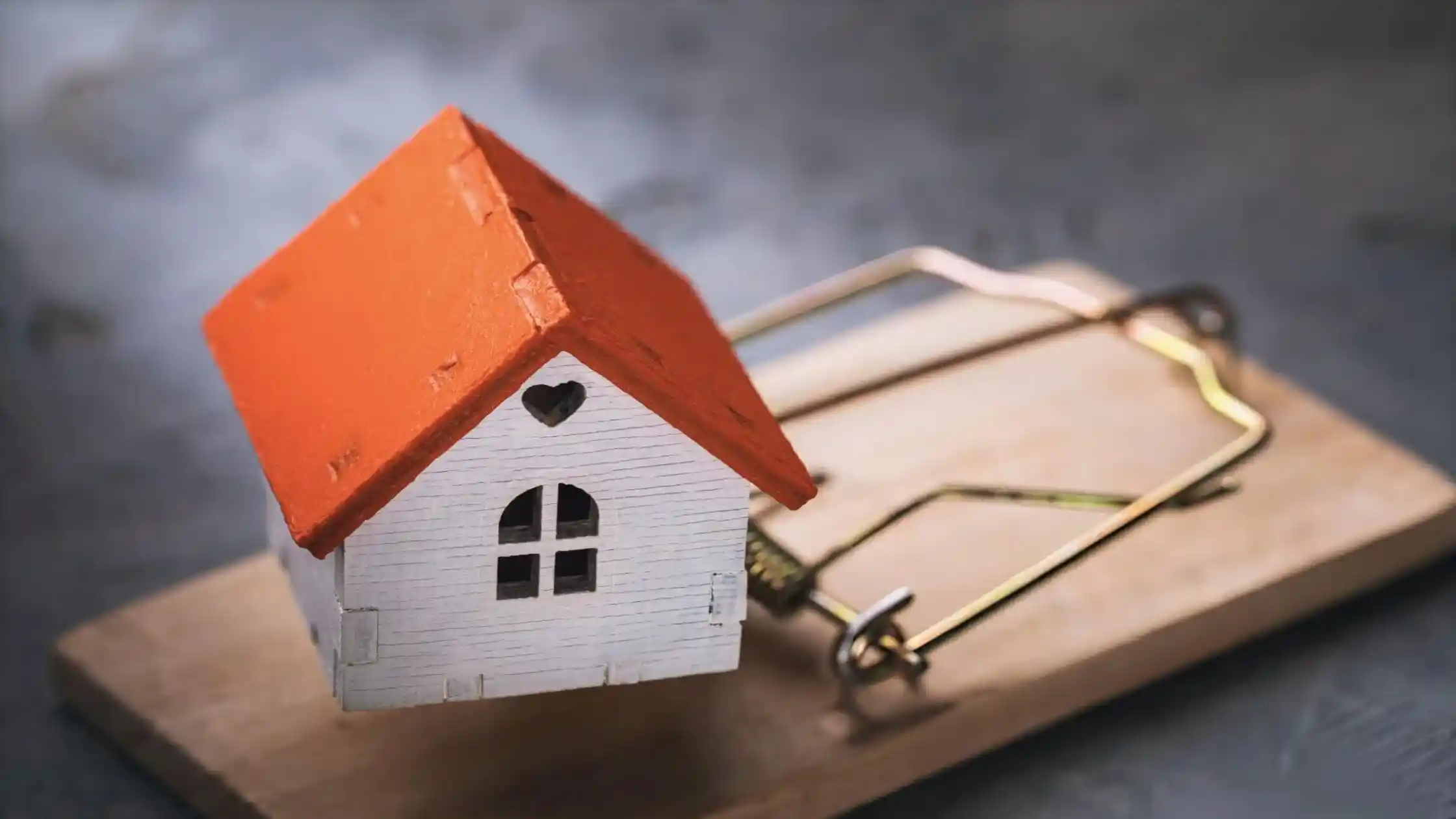 Lease agreements define shared pest control duties clearly.