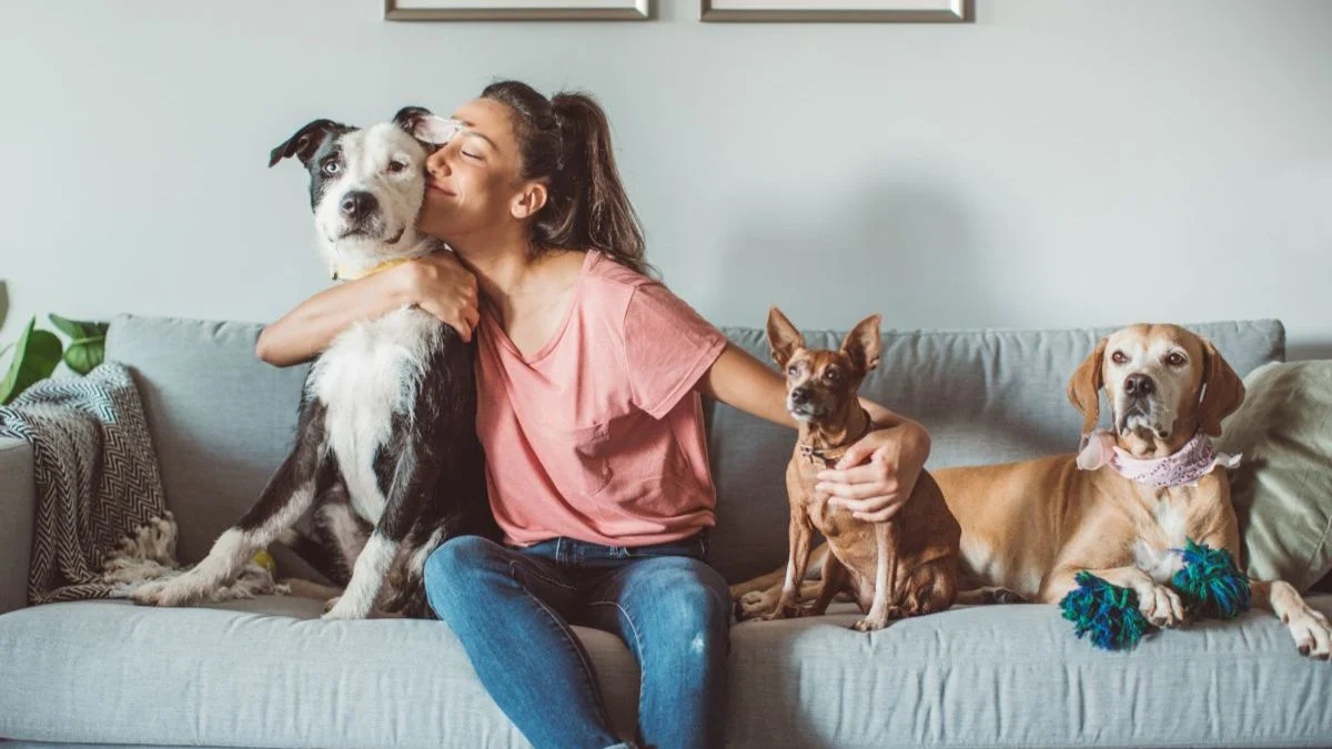 Tenant with emotional support animal understanding housing rights and responsibilities