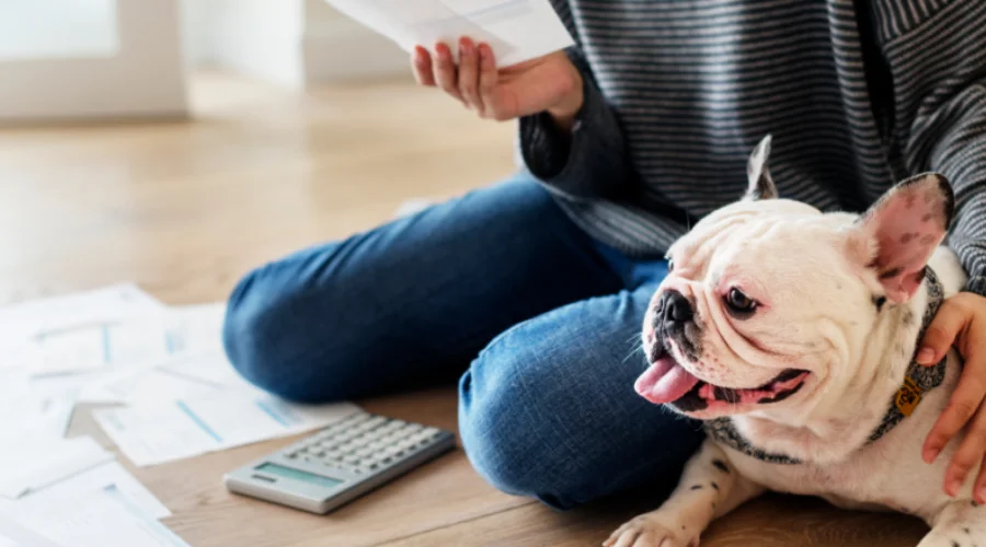 Explaining New York pet rent laws overview clearly