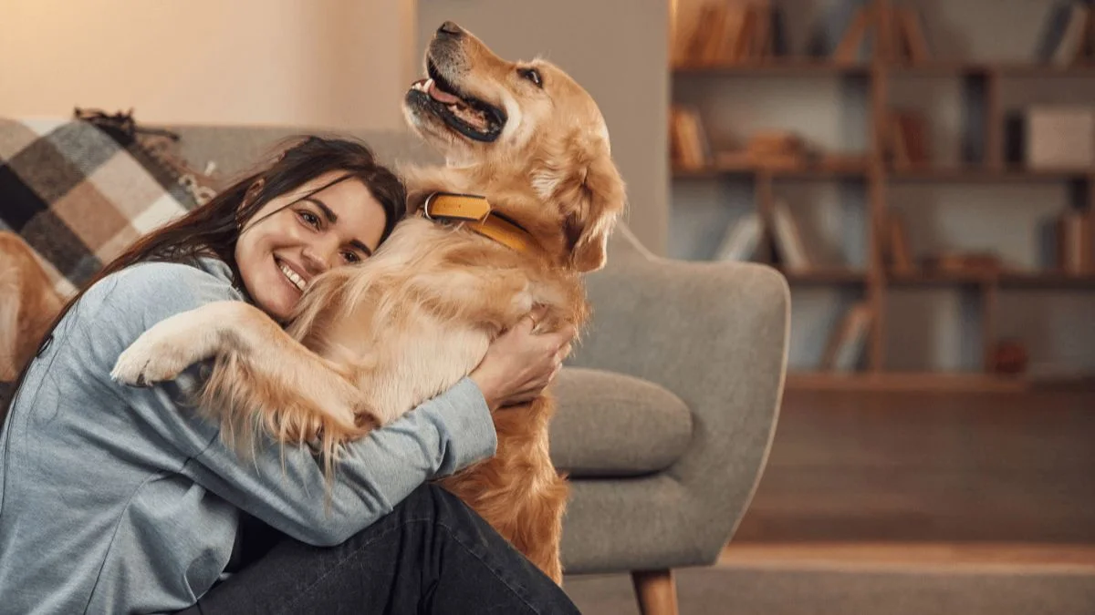 Emotional support animal providing comfort to tenant at home