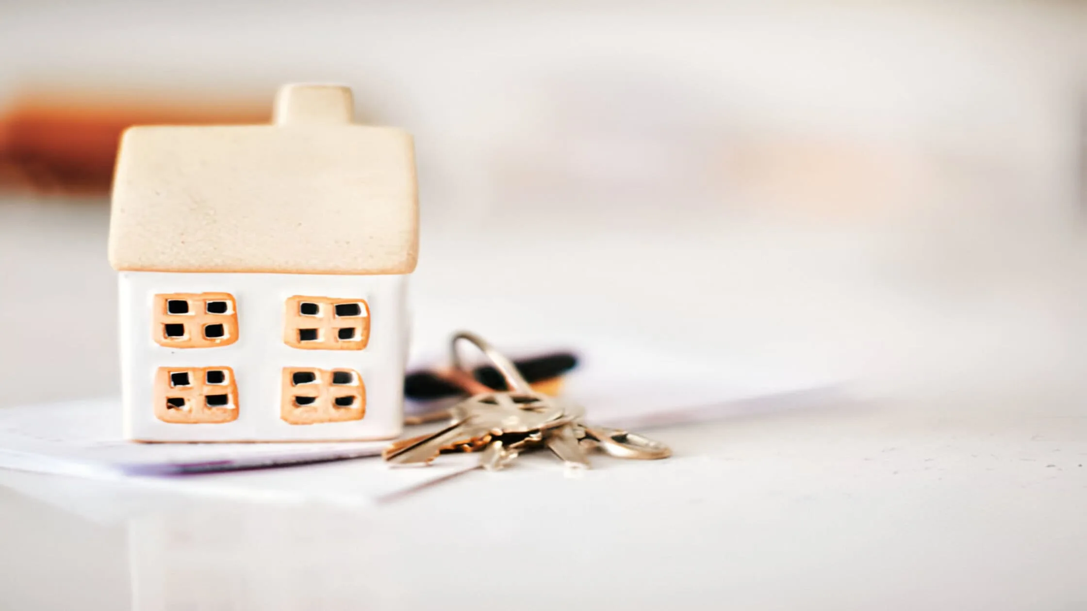 how to evict a squatter complete process