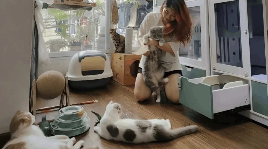 Keeping pets indoors without lease permission is illegal in Nevada