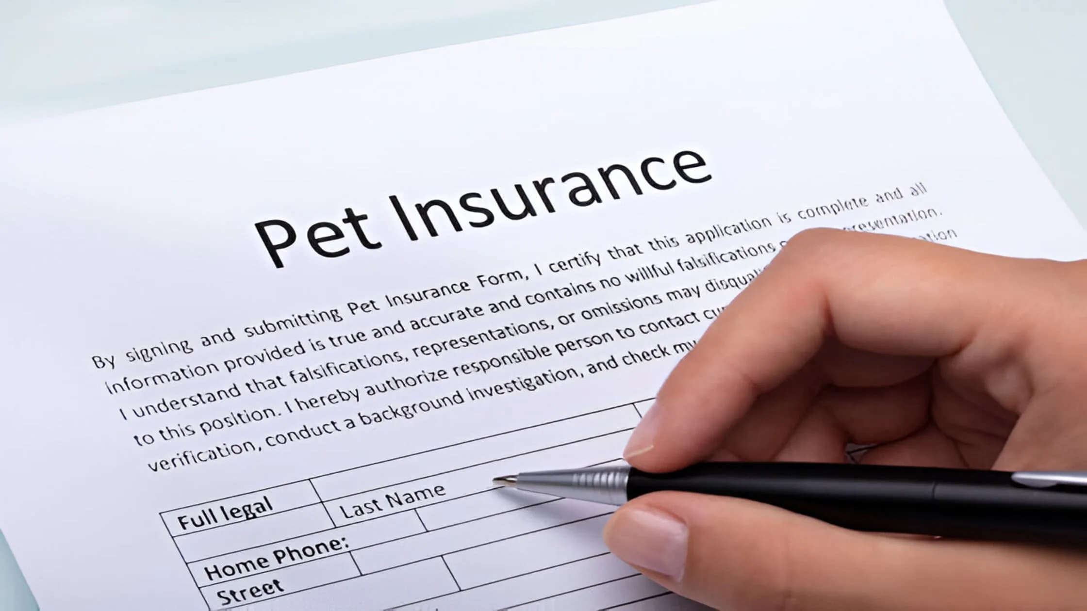  renters-insurance-that-covers-dogs